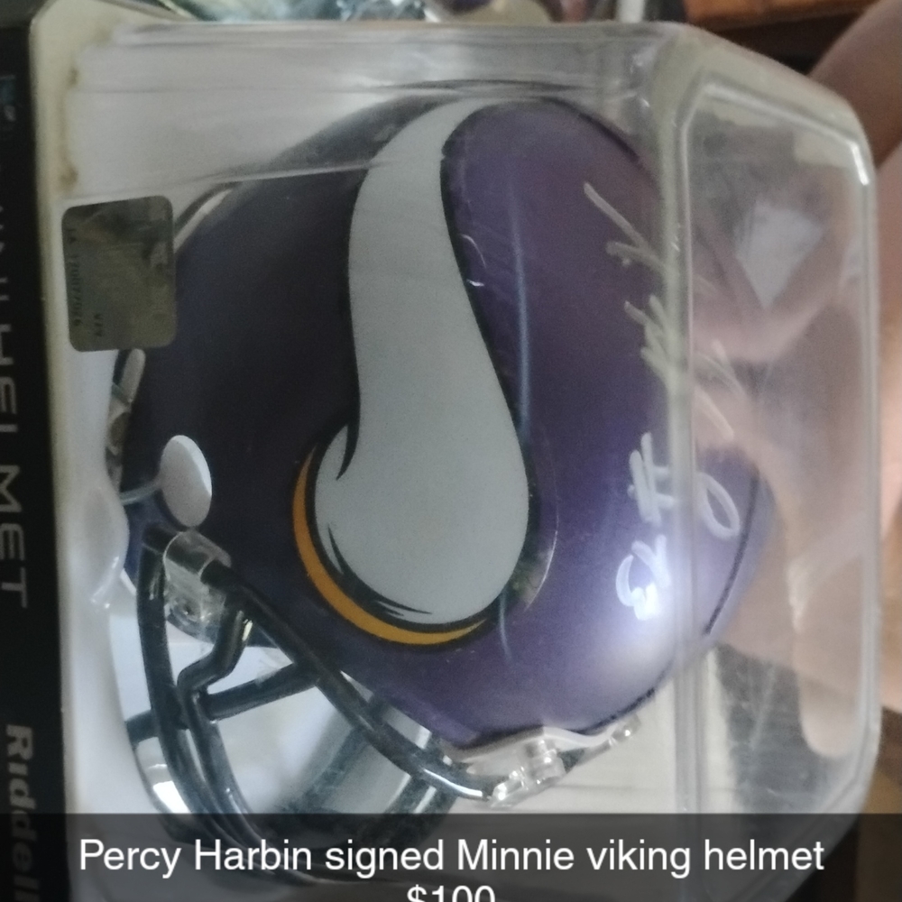 NFL Purple and White Vikings Decor Accent